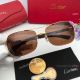 Cartier Double Bridge Titanium Sunglasses - Exact Replica (9)_th.jpg